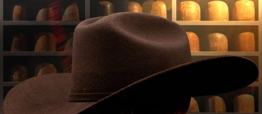 Sombrero Borsalino Alón color café oscuro