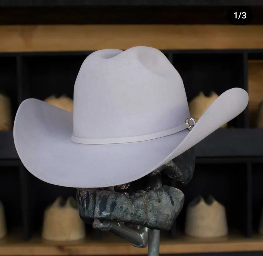 Sombrero Borsalino Alón color gris